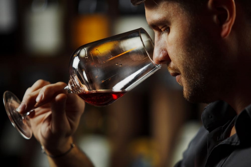 ¿Qué se suele decir en la fase olfativa de la cata del vino?